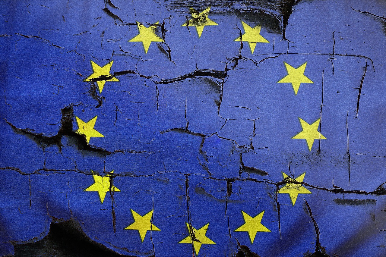 Vänsterpartiet är emot Europeiska unionen (EU) | My Blog